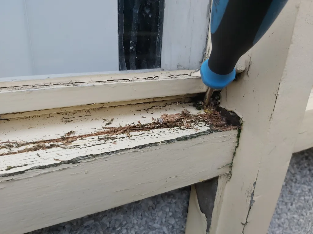 Holzinspektion Repair Care