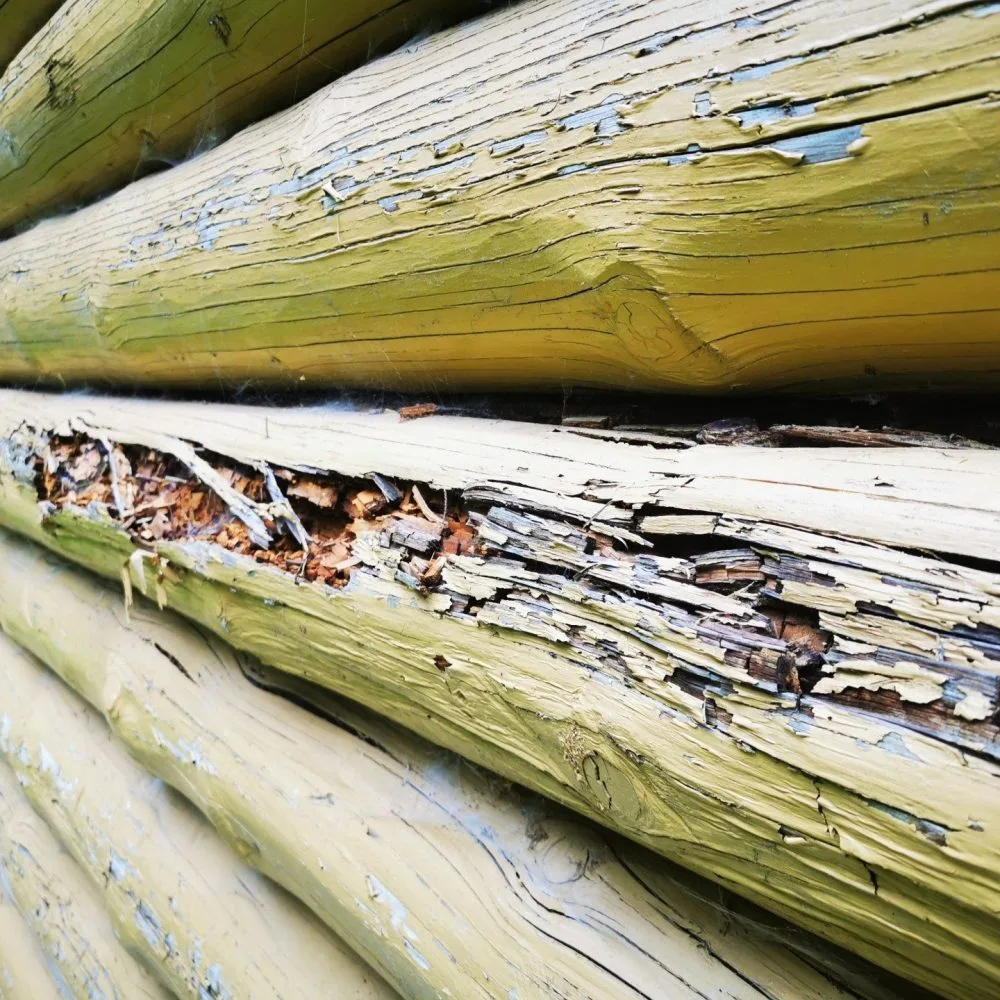 Blockhütte Holzbalken reparieren