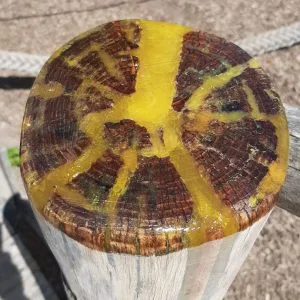 Reparatur Spielplatz Balkenkopf versiegelt mit DRY SHIELD™ SK