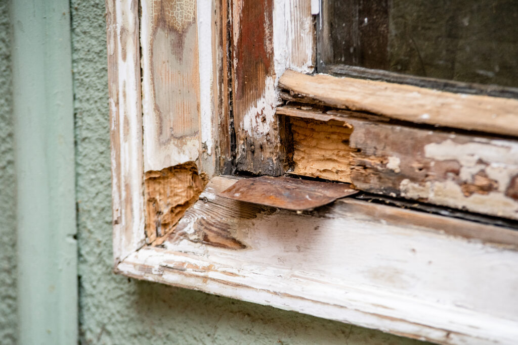 Holzfaulstellen am Fenster reparieren